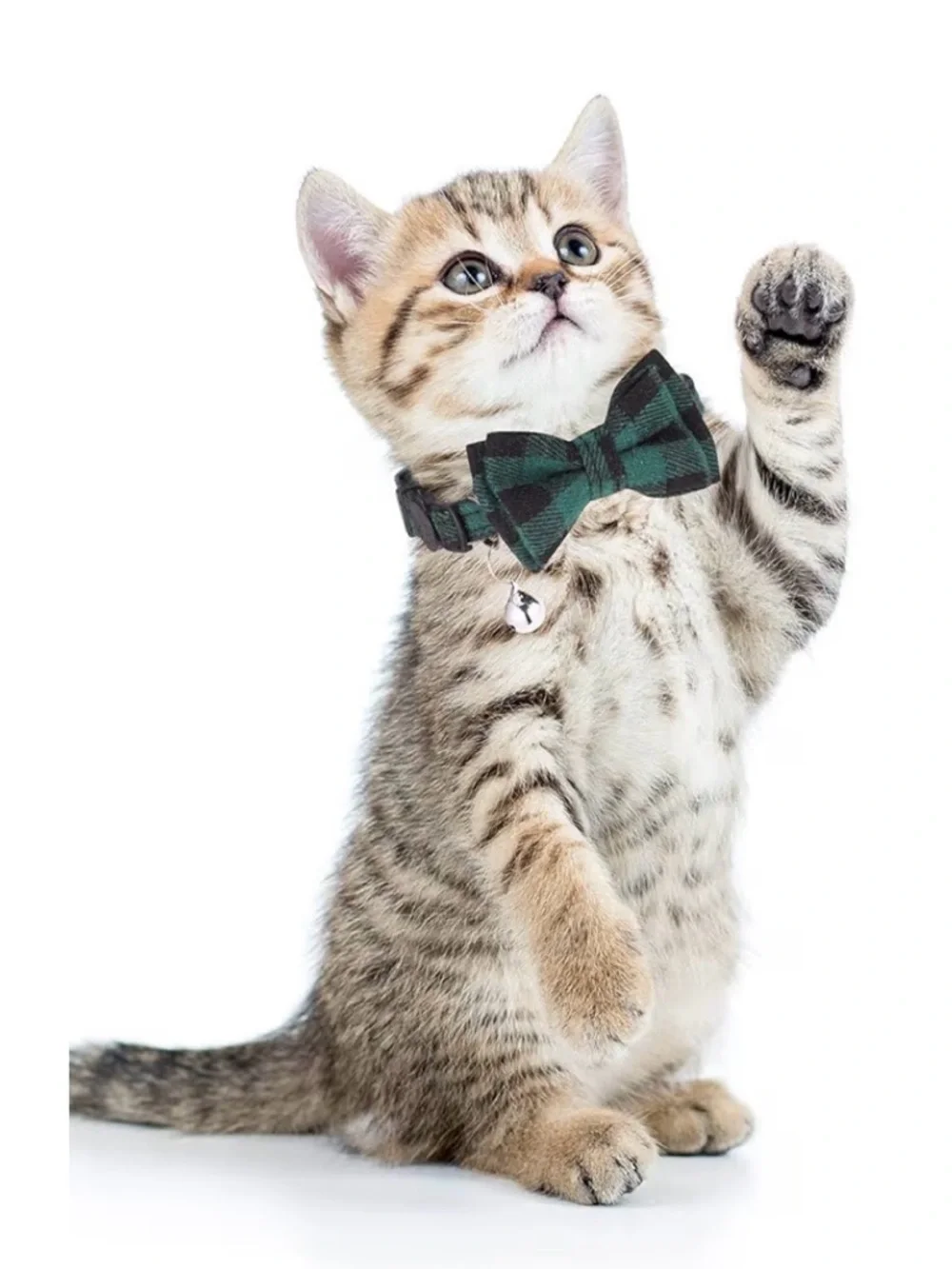 NWT Plaid Bow Tie Cat Collar with Bell - bundle mixed colors !! Adjustable
